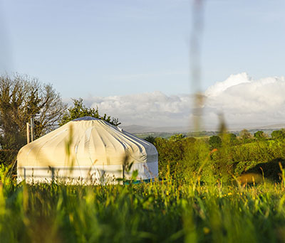 Great Links Yurt in sunny meadow on Borough Farm